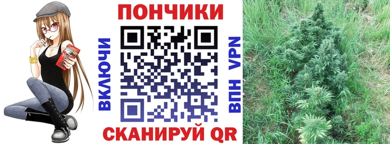 Купить закладки  Терек  Шишки марихуана Bruce Banner 